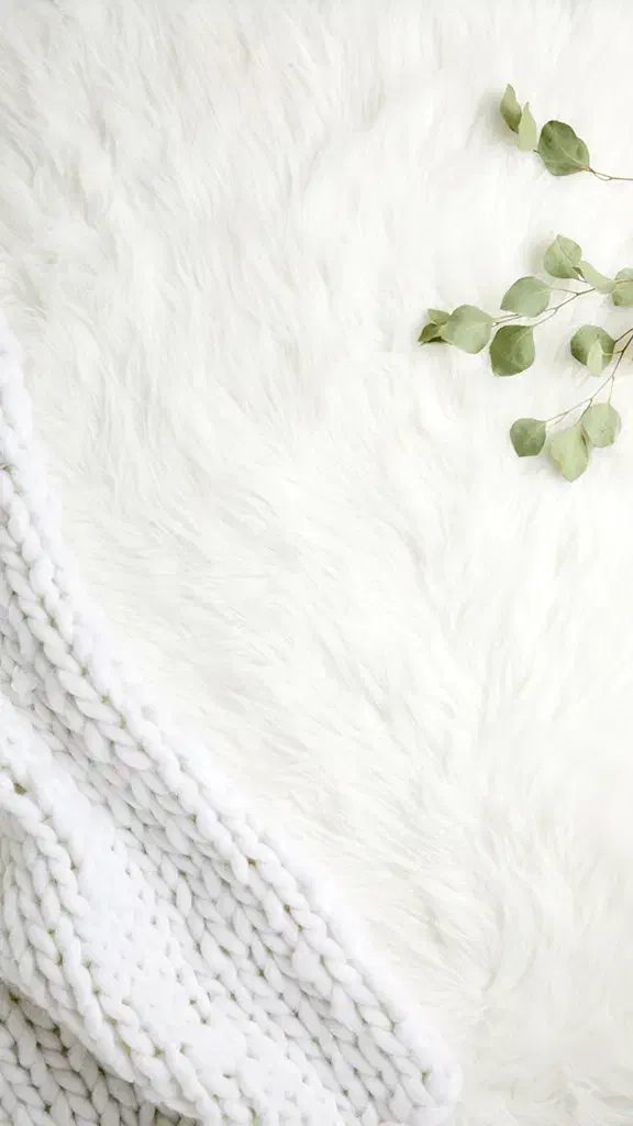 آف پاییزه|لباس|شوشتر, |دیوار