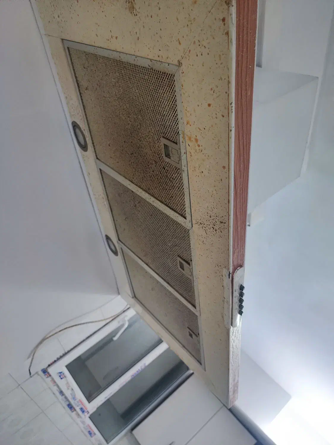 هود بیمکث|هود|تهران, فلسطین (میدان انقلاب)|دیوار