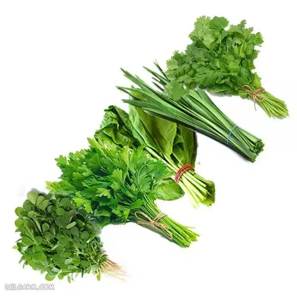 کار در منزل|استخدام خدمات فروشگاه و رستوران|گرمسار, |دیوار