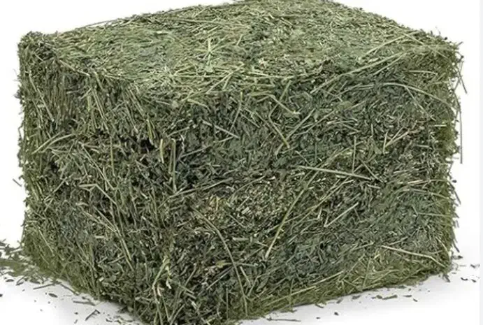 یونجه و کاه|لوازم جانبی حیوانات|نیشابور, خیام|دیوار