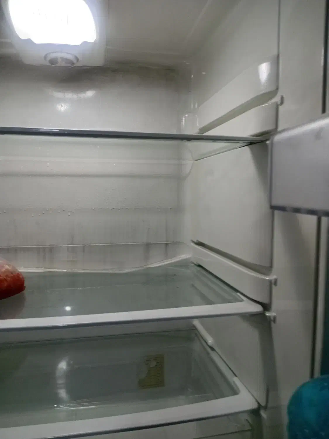 یخچال|یخچال و فریزر|ملکآباد, |دیوار