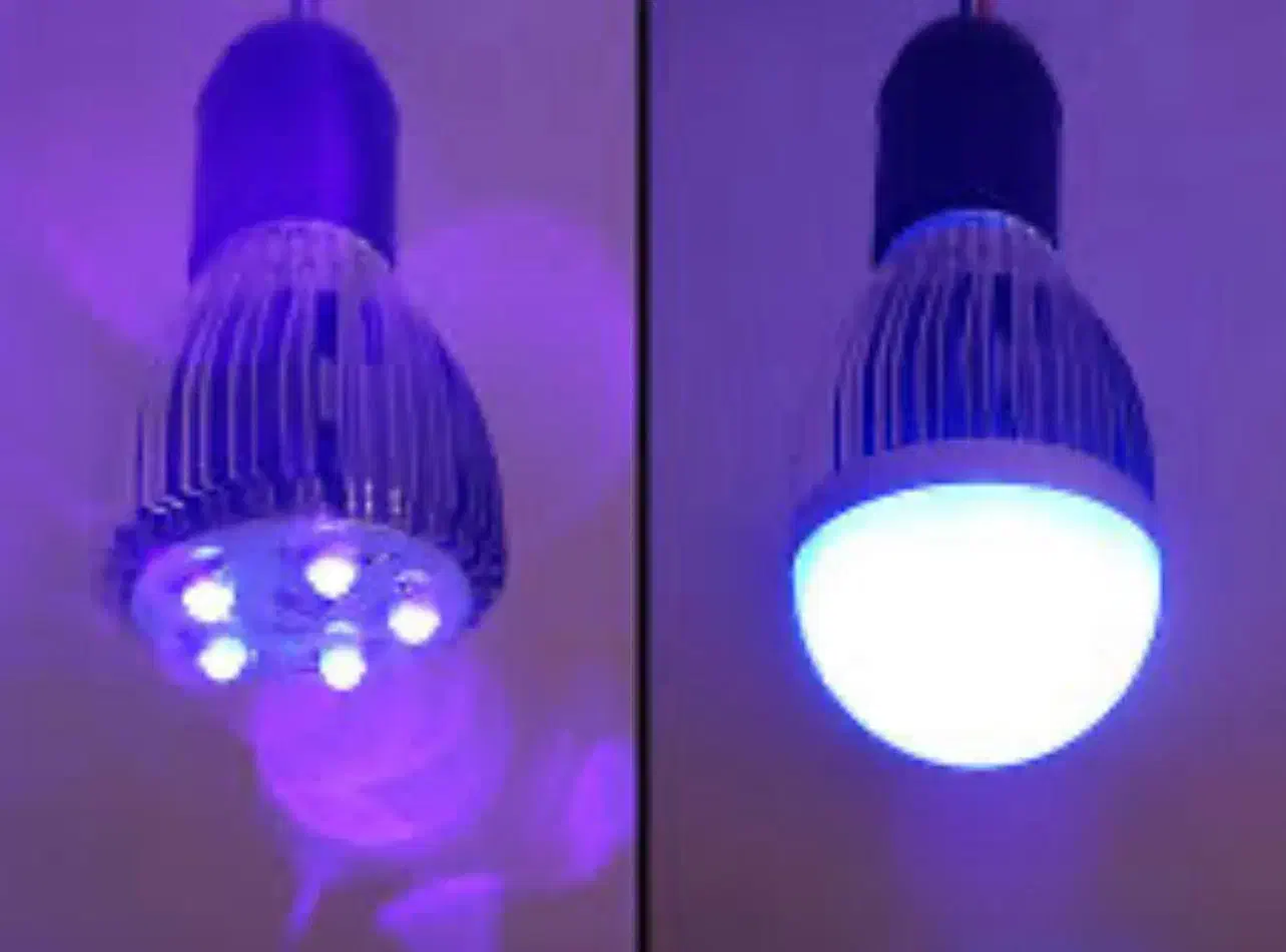 لامپ بلک لایت|لامپ و چراغ|هرمز, |دیوار