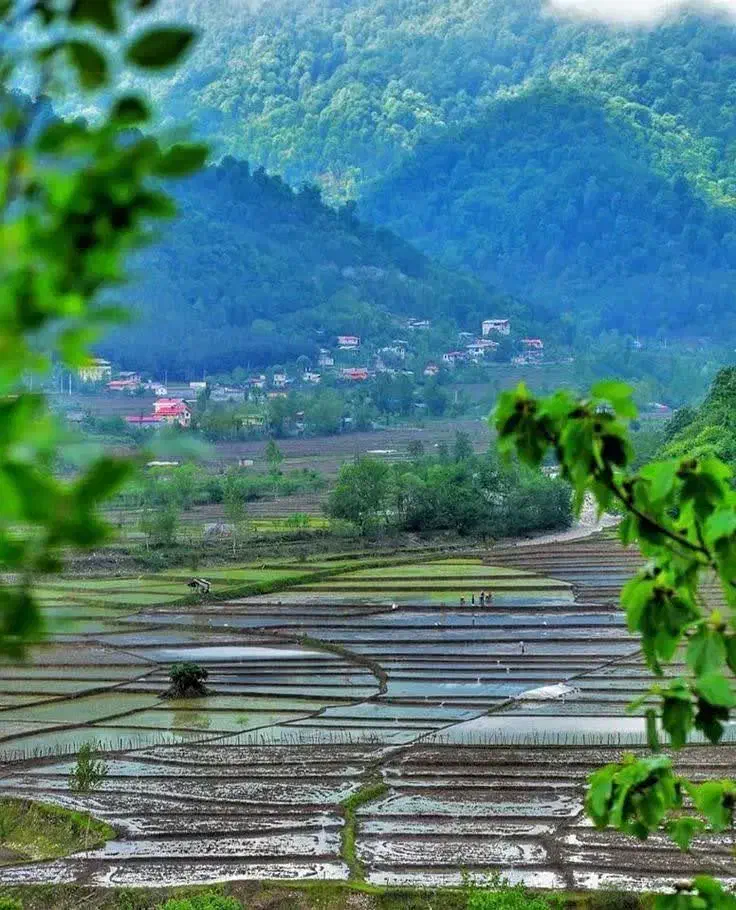 فروش باغ ویلا مبله پای کوه|فروش خانه و ویلا|ماسال, |دیوار