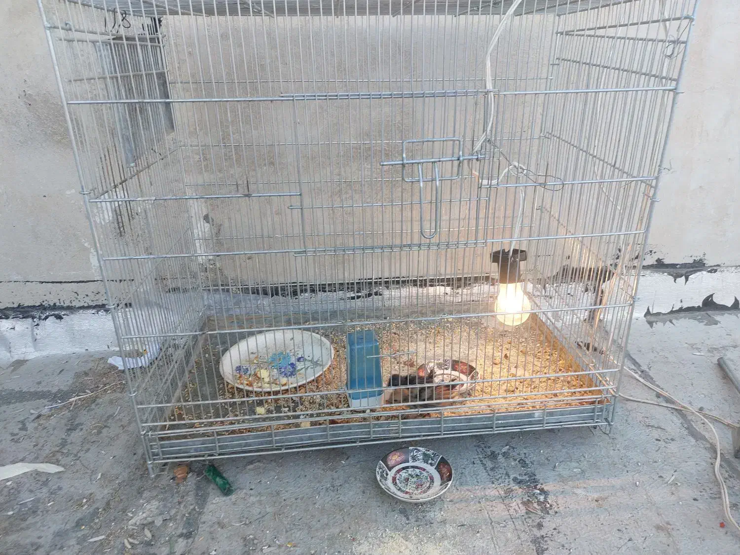 قفس|لوازم جانبی حیوانات|اسلامشهر, مظفریه|دیوار