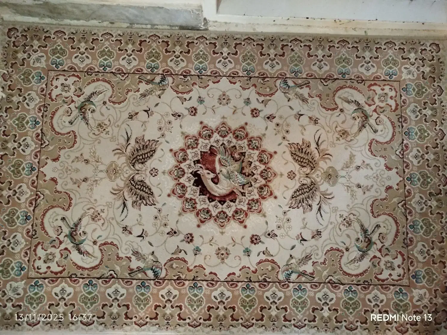 فرش ماشینی|فرش|قزوین, |دیوار