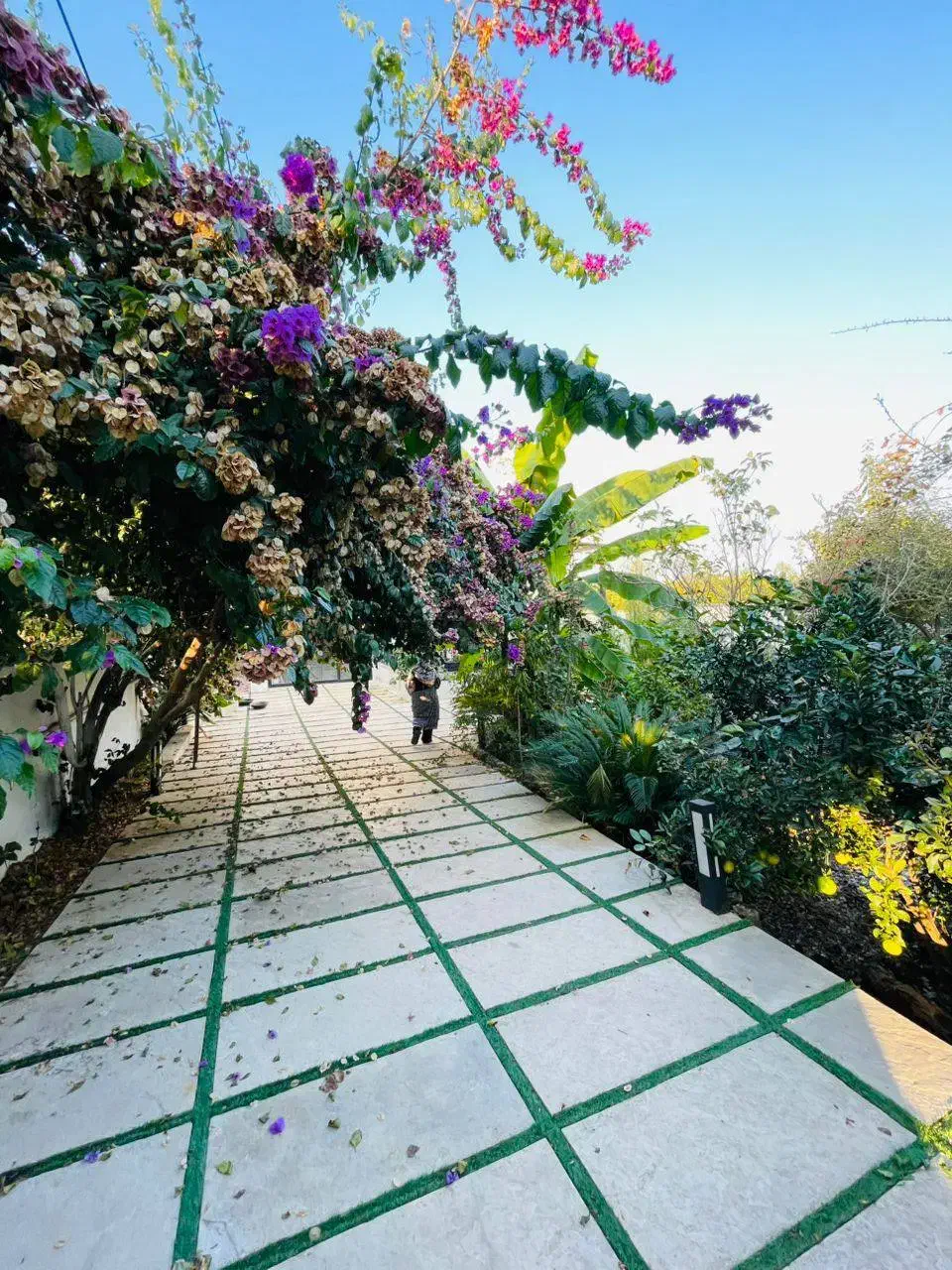 ویلا باغ مشجر ۴۰۰متری سندششدانگ انشعابات اختصاصی|فروش خانه و ویلا|امامزاده عبدالله, |دیوار