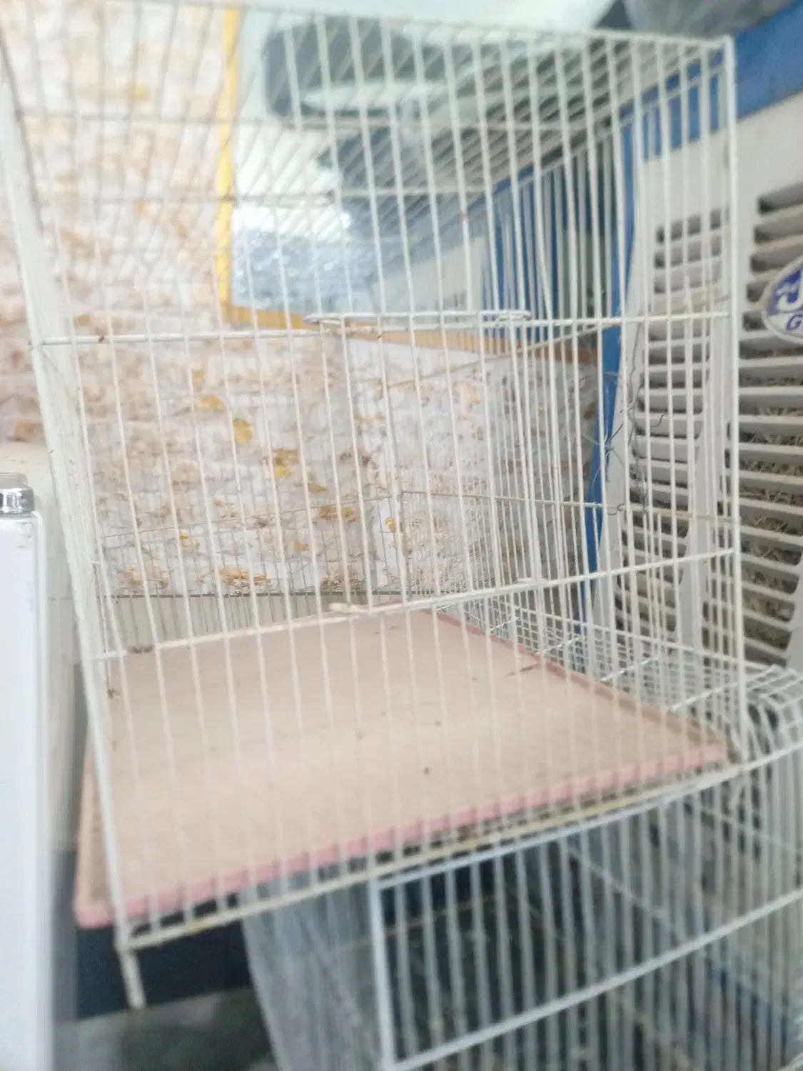 قفس|لوازم جانبی حیوانات|سبزوار, چهارراه فرودگاه|دیوار