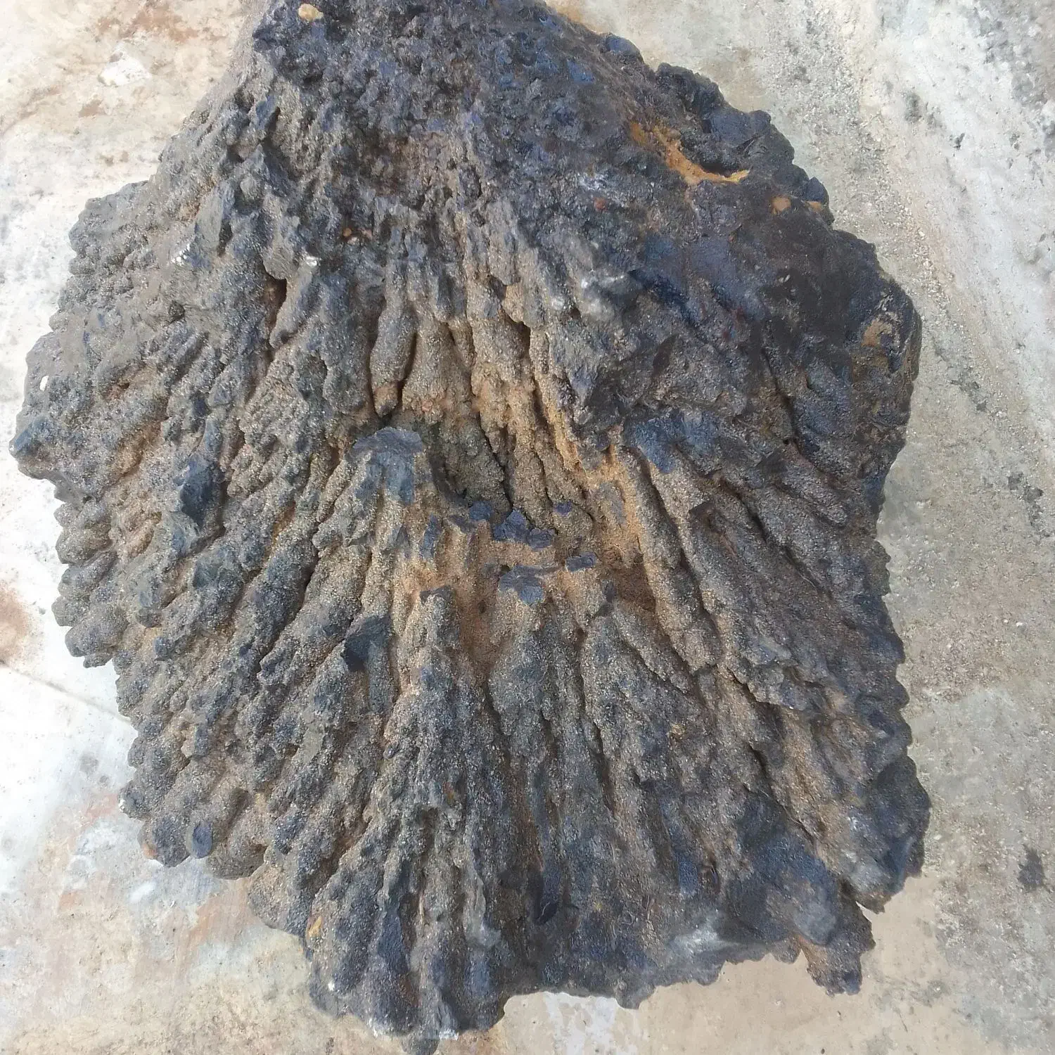 گمشده|اشیا|قروه, |دیوار