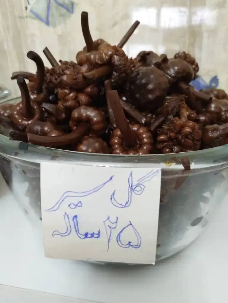 تولید ترشیجات و انواع ترشیجات خانگی|خوردنی و آشامیدنی|تهران, مینای جنوبی|دیوار