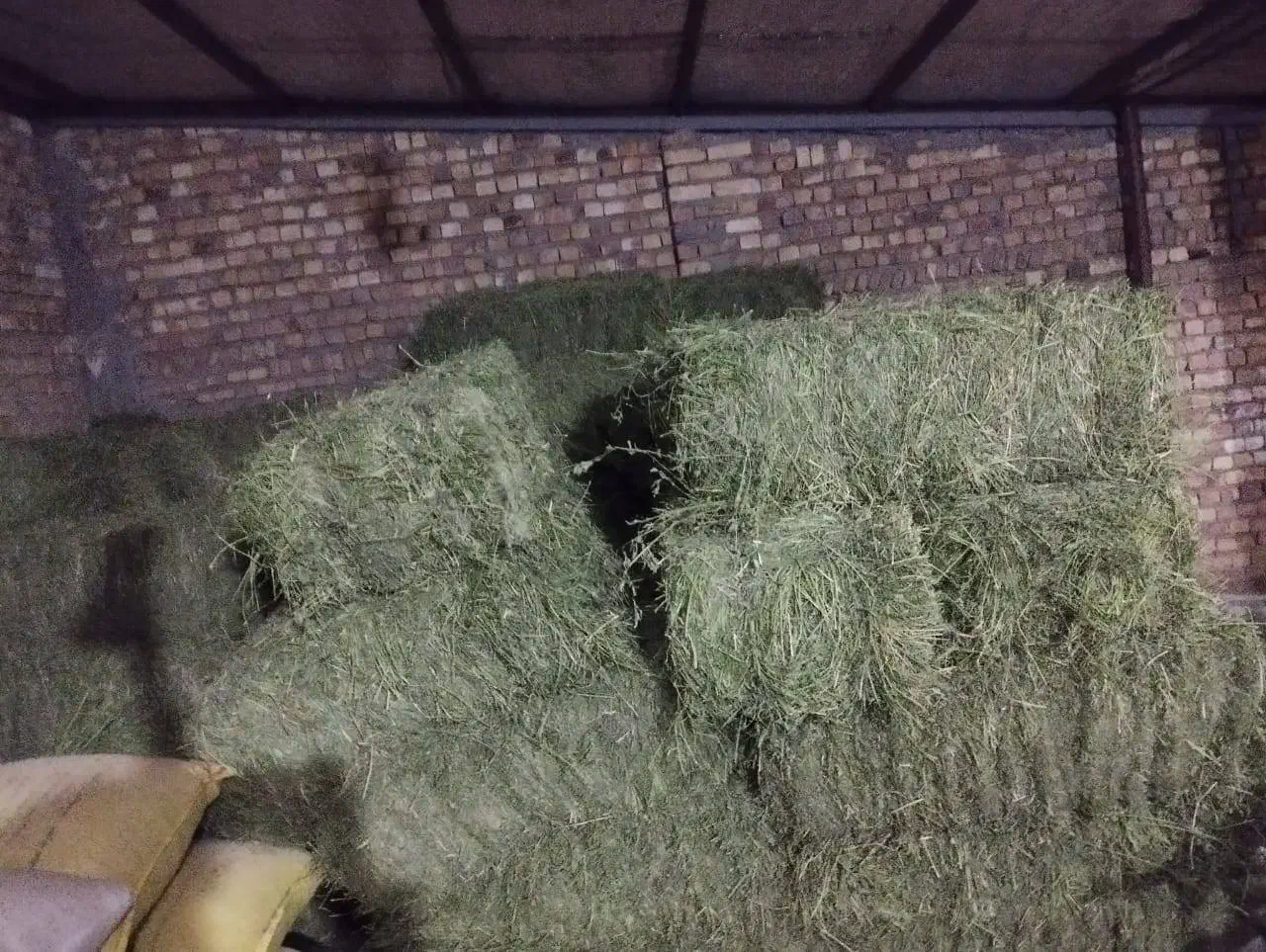 یونجه|عمده‌فروشی|شهرکرد, |دیوار