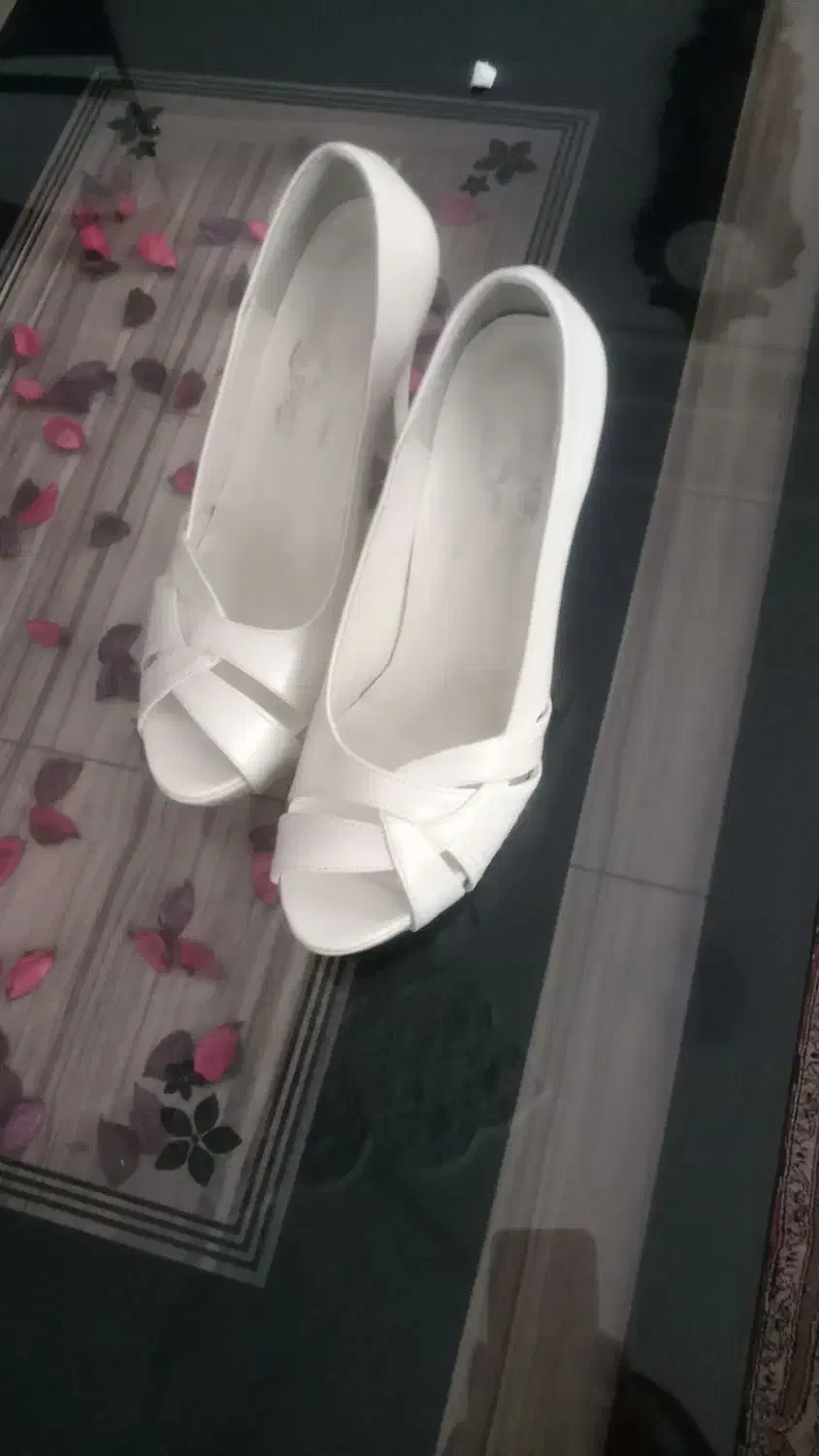 کفش مجلسی نو|کیف، کفش، کمربند|قروه, |دیوار