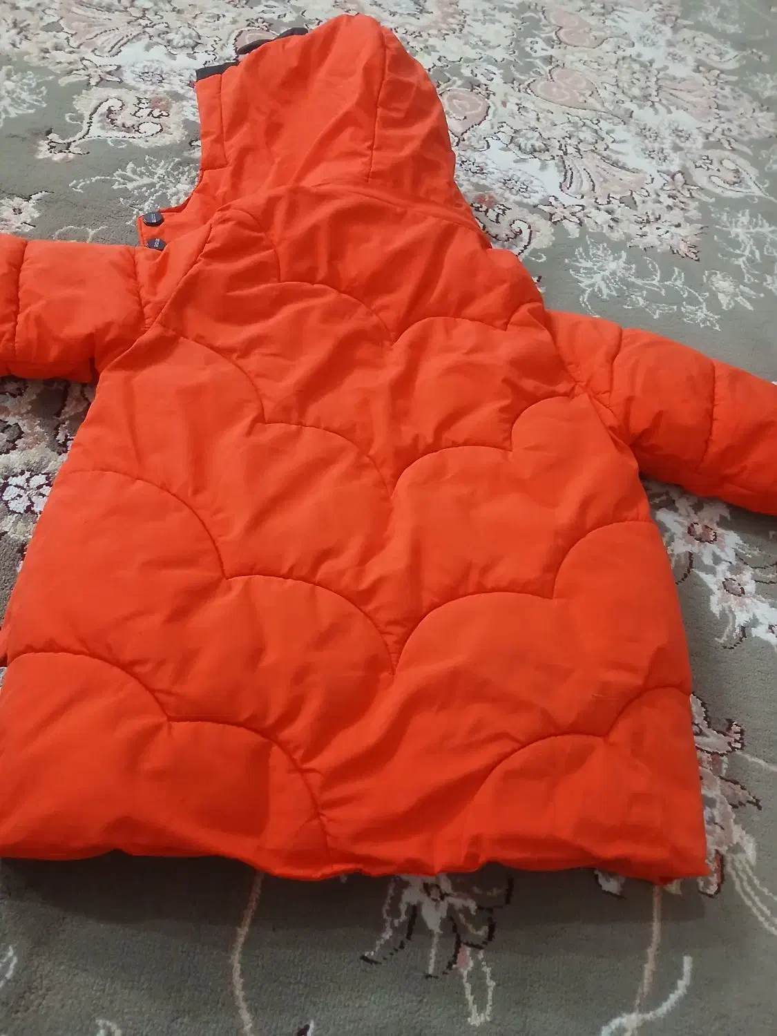 کاپشن|کفش و لباس بچه|بروجرد, |دیوار