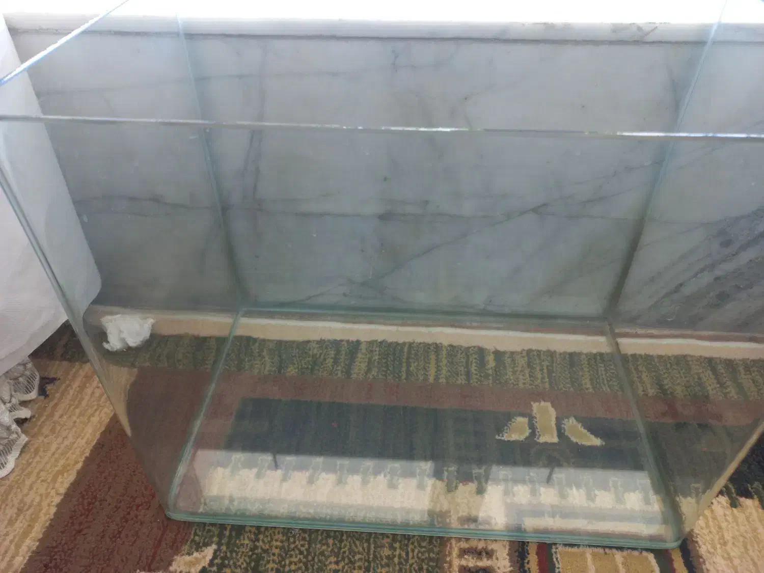 آکواریم شیشه خم با وسایل|ماهی|مبارکه, |دیوار