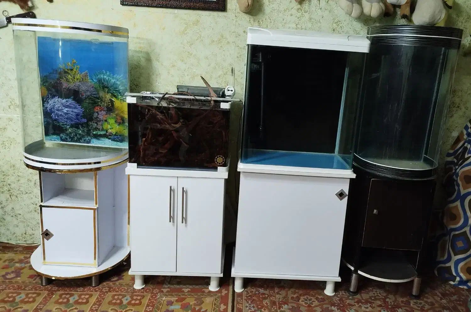 آکواریوم خم فیلتر سطلی چوب آبنوس و پمپ هوا و نور|ماهی|کرمانشاه, |دیوار