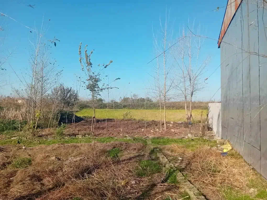 فروش فوری زمین مسکونی نسق  احمدگوراب رشت)|فروش زمین و ملک کلنگی|رشت, احمد گوراب|دیوار