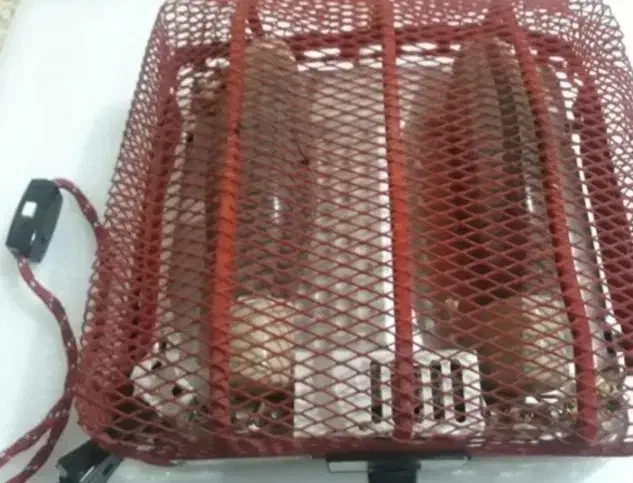 کرسی لامپی ناسیونال ژاپنی و تعدادی جنس آنتیک|کلکسیون اشیاء عتیقه|بومهن, |دیوار