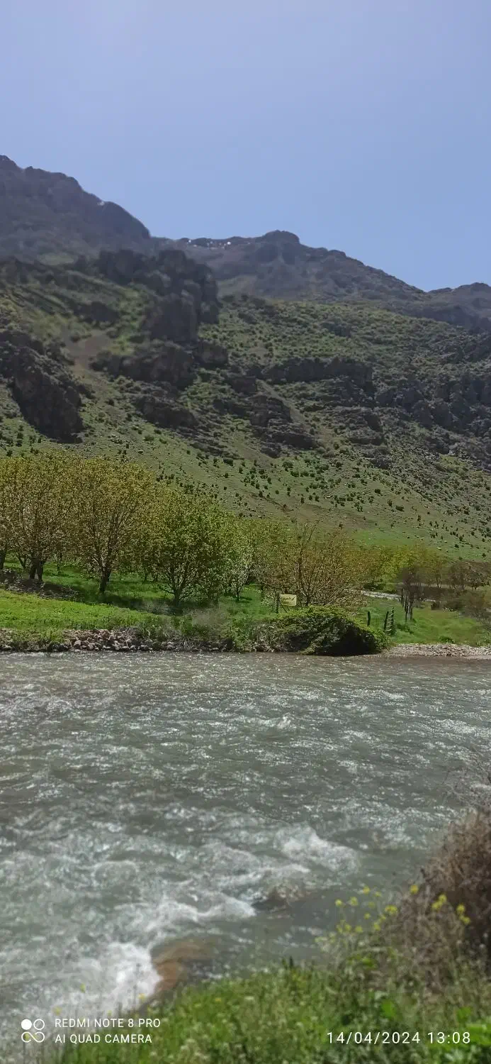 باغ فروشی|فروش دفتر صنعتی، کشاورزی، تجاری|بیستون, |دیوار