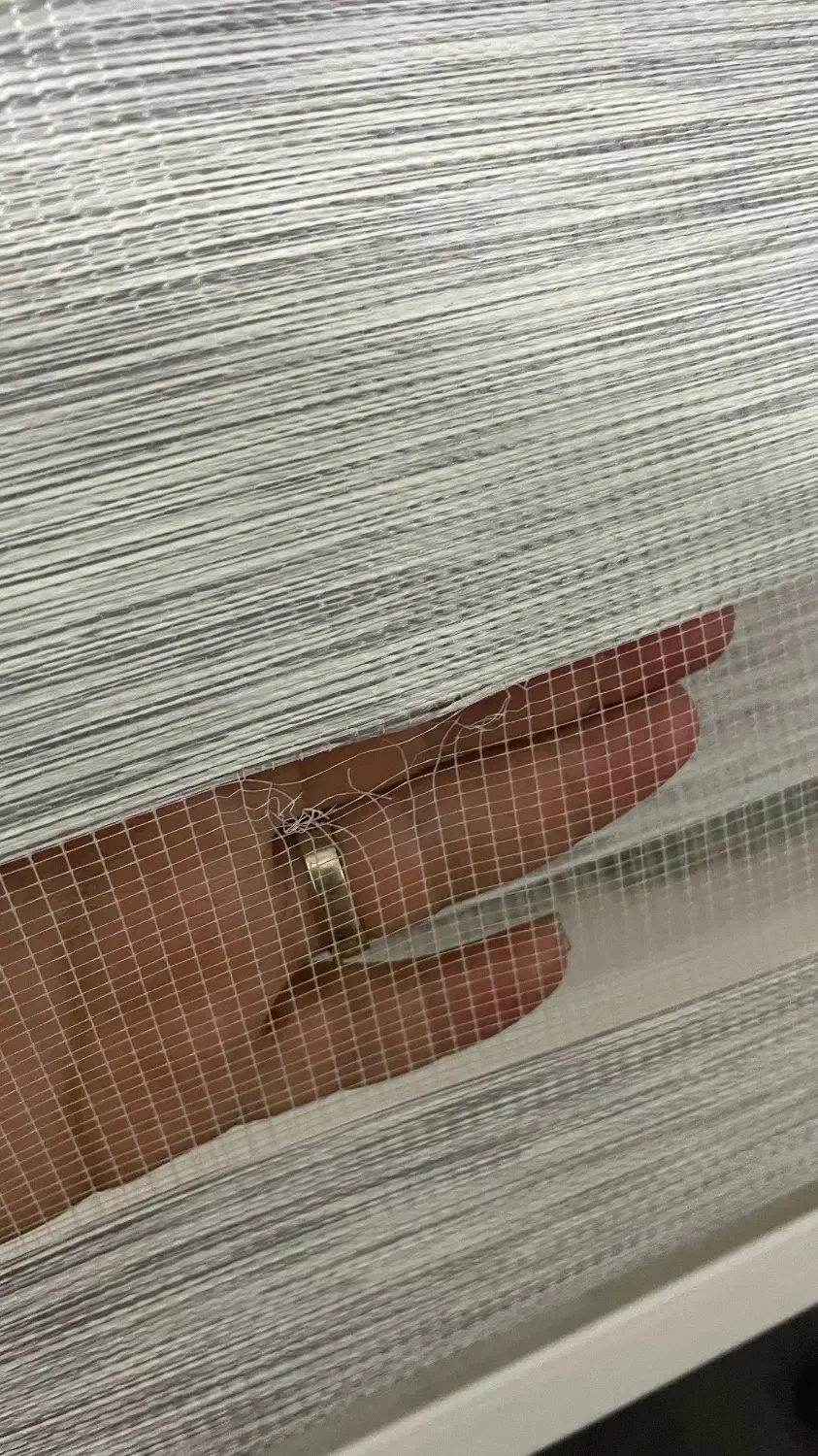 پرده زبرا|پرده، رانر، رومیزی|رامهرمز, |دیوار