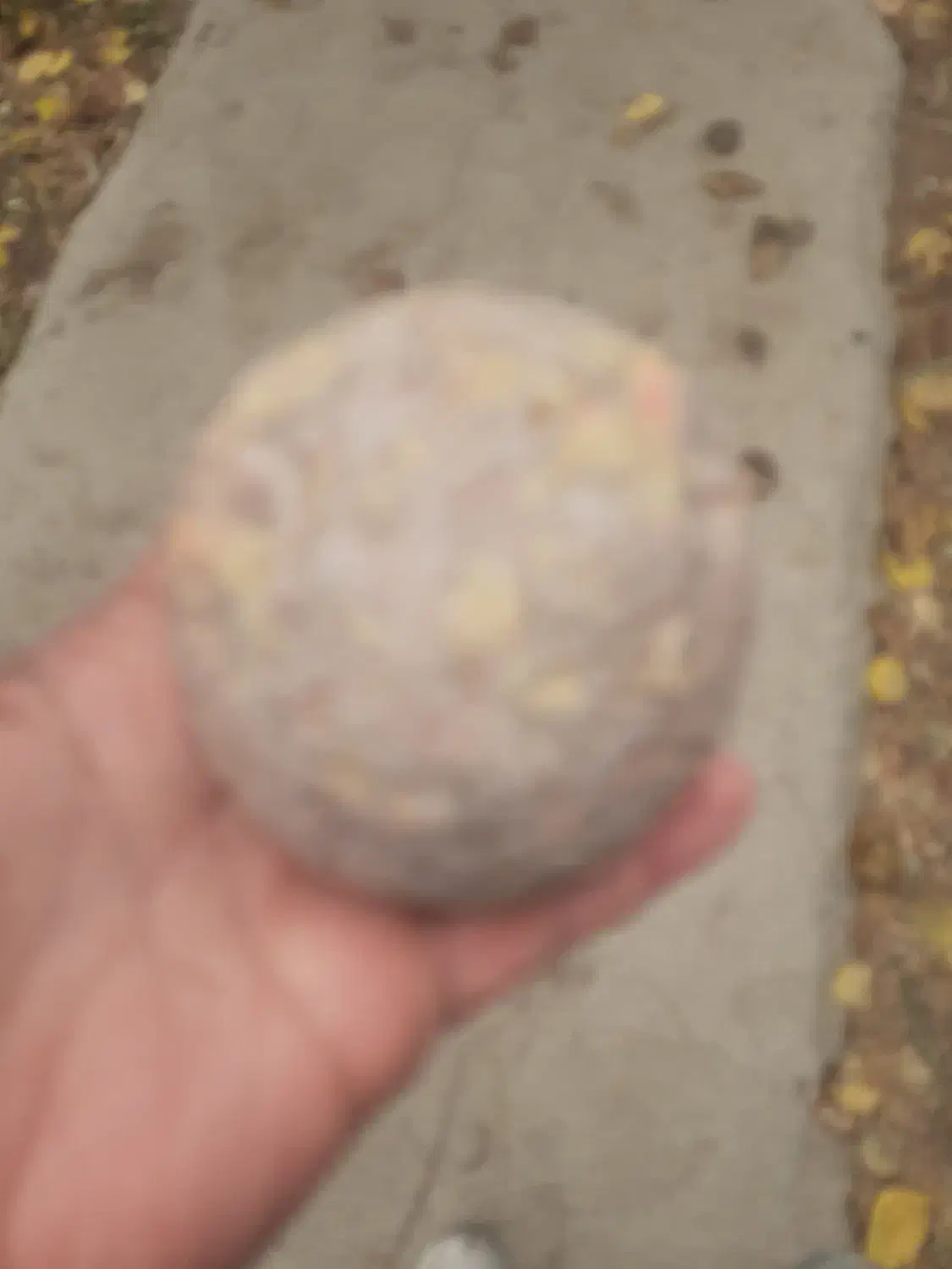 سنگ کلکسیونی شب تاب|کلکسیون اشیاء عتیقه|ری, دیلمان|دیوار