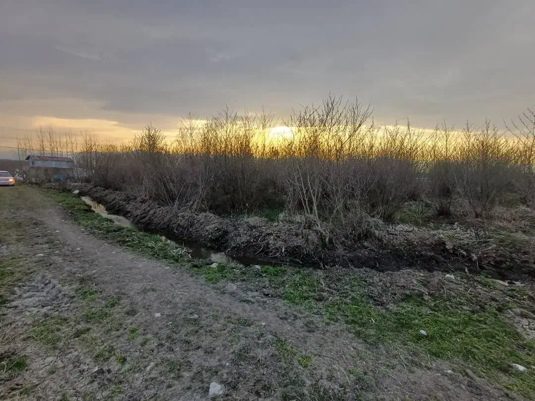 زمین باغی ....|فروش زمین و ملک کلنگی|رضوانشهر, |دیوار