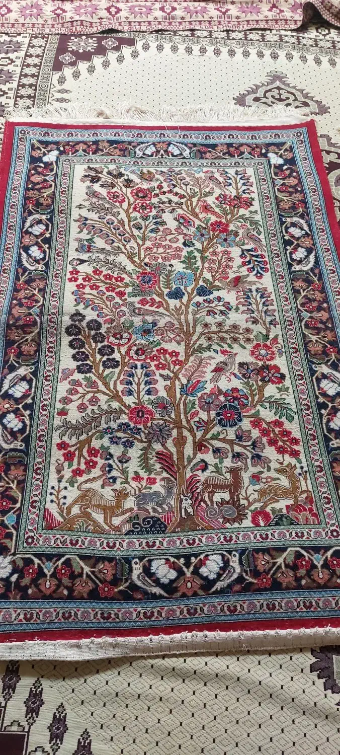 قالی دست بافت|فرش|قم, پردیسان|دیوار