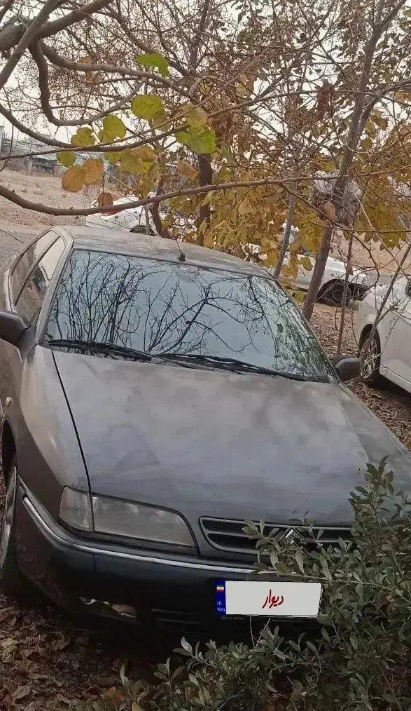 زانتیا۲۰۰۰مدل۸۴|خودرو سواری و وانت|چالوس, |دیوار