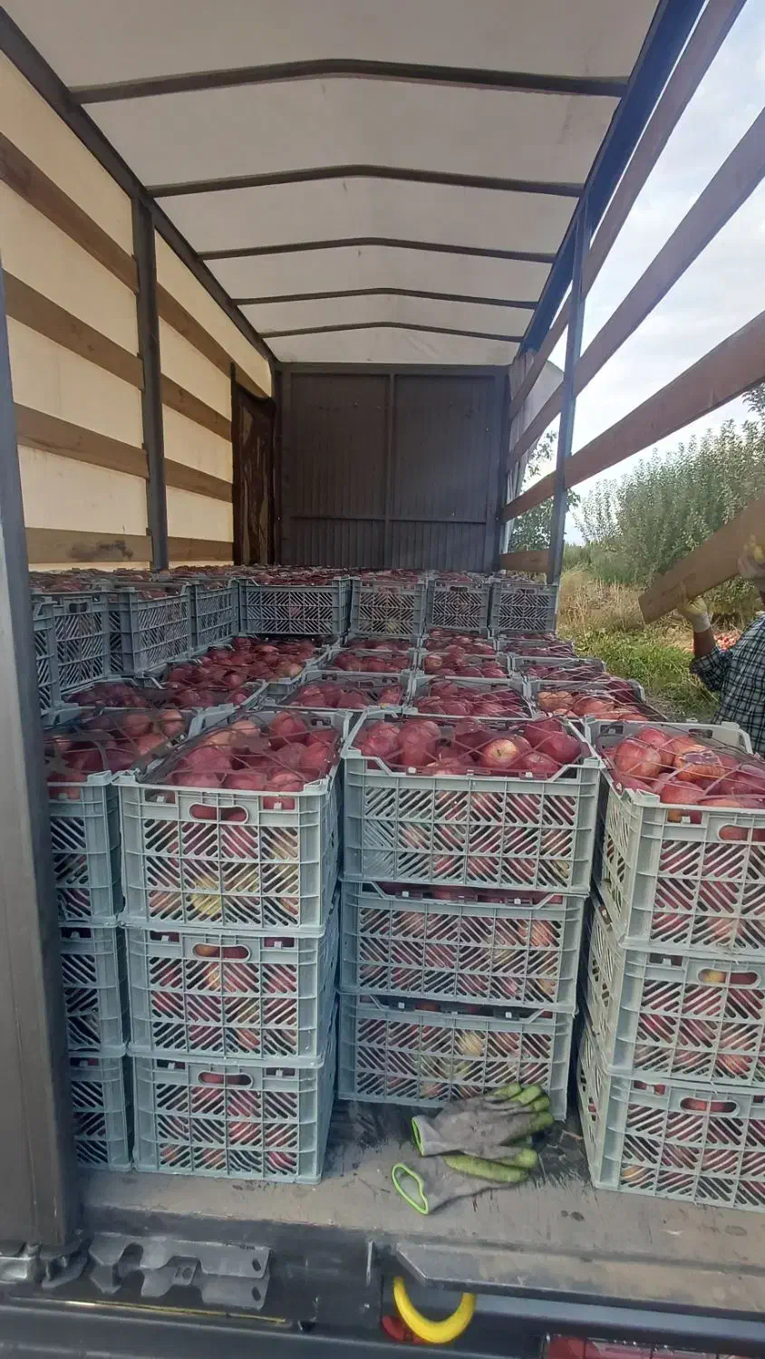 حمل نقل بار و اثاث منزل|خدمات حمل و نقل|میاندوآب, |دیوار