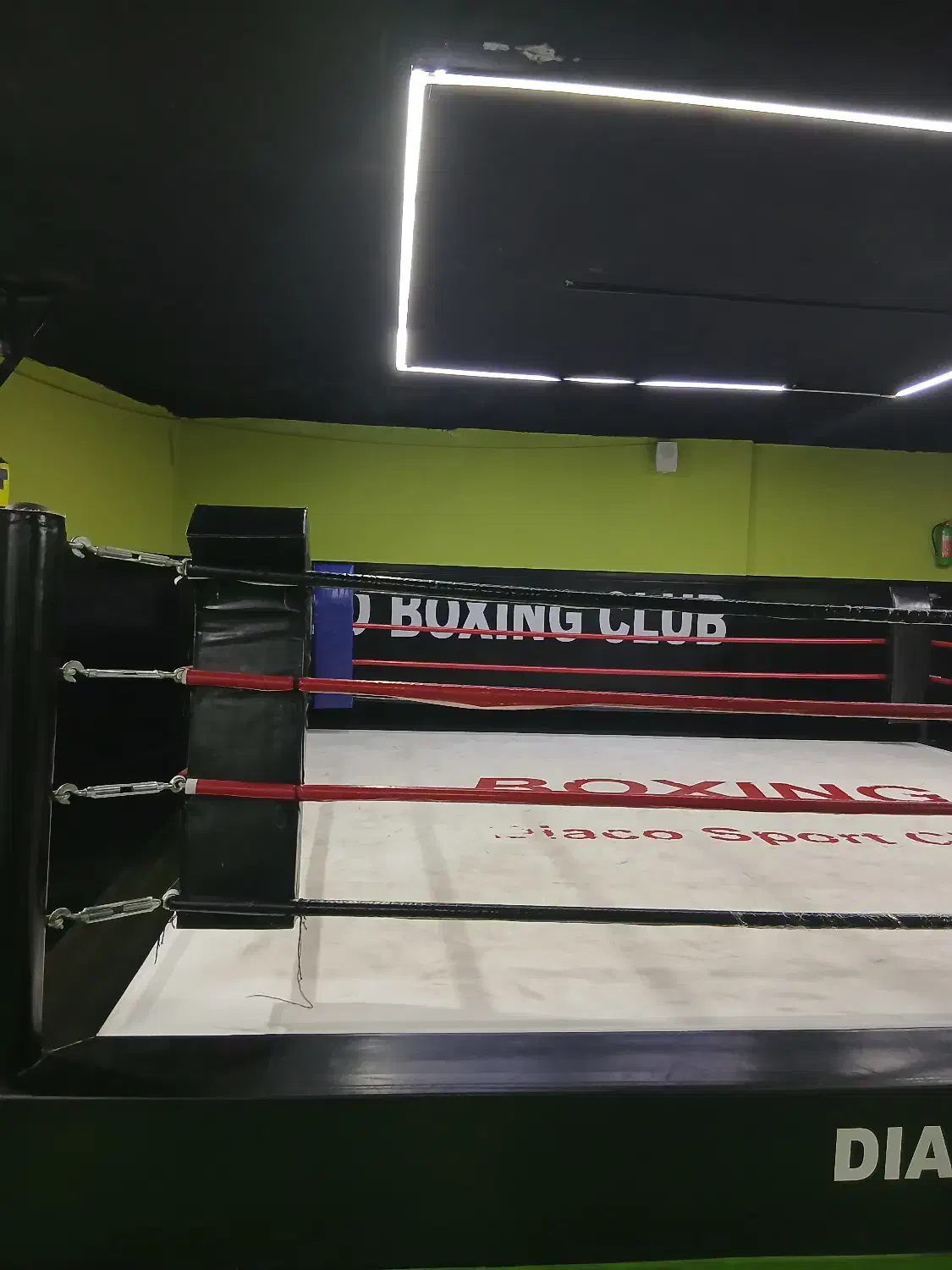 مربی رزمی بانوان کیک بوکسینگ یا دفاع شخصی|استخدام آموزشی|تهران, امام زاده قاسم (نیاوران)|دیوار