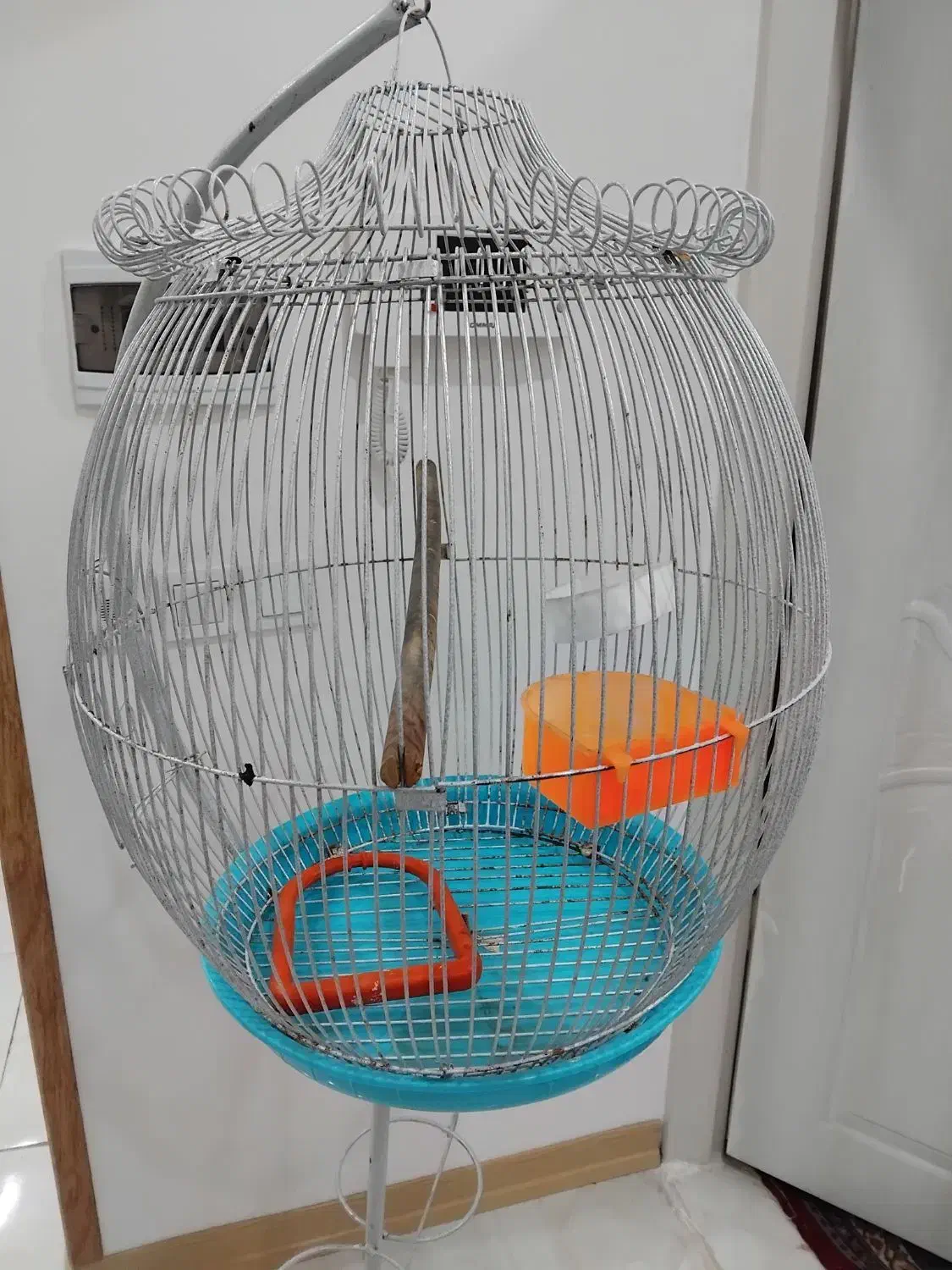 قفسه پرنده ایستاده|لوازم جانبی حیوانات|مشهد, نوید|دیوار