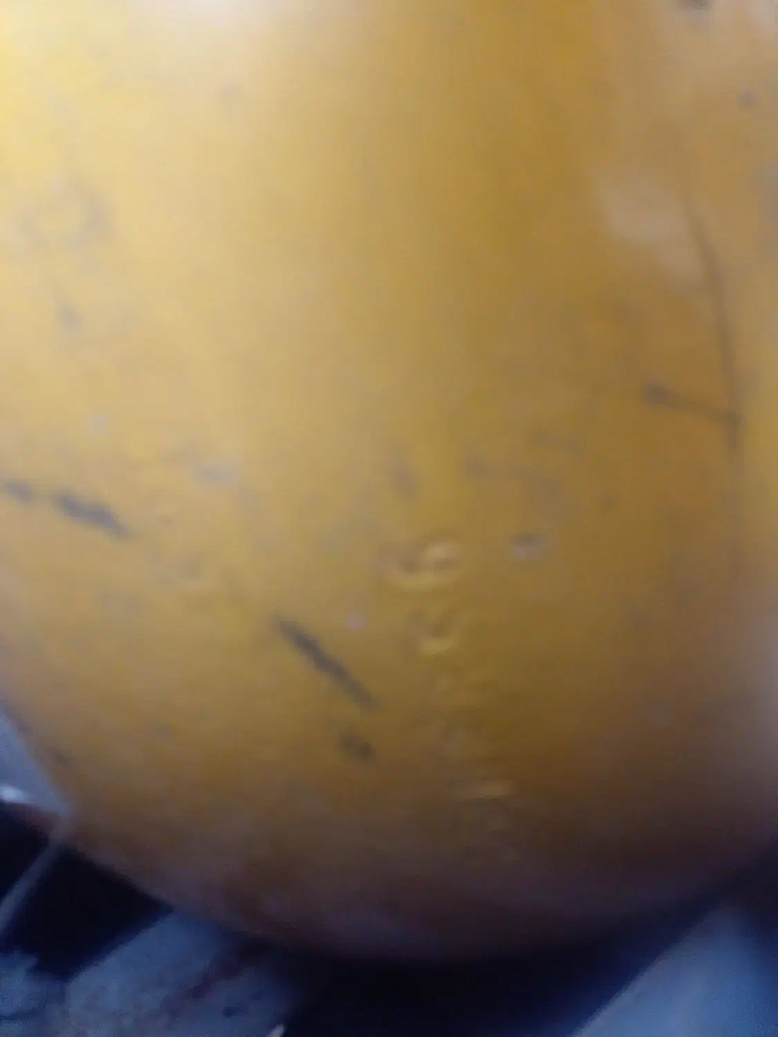 کپسول|قطعات یدکی و لوازم جانبی|قم, شاد قلی|دیوار