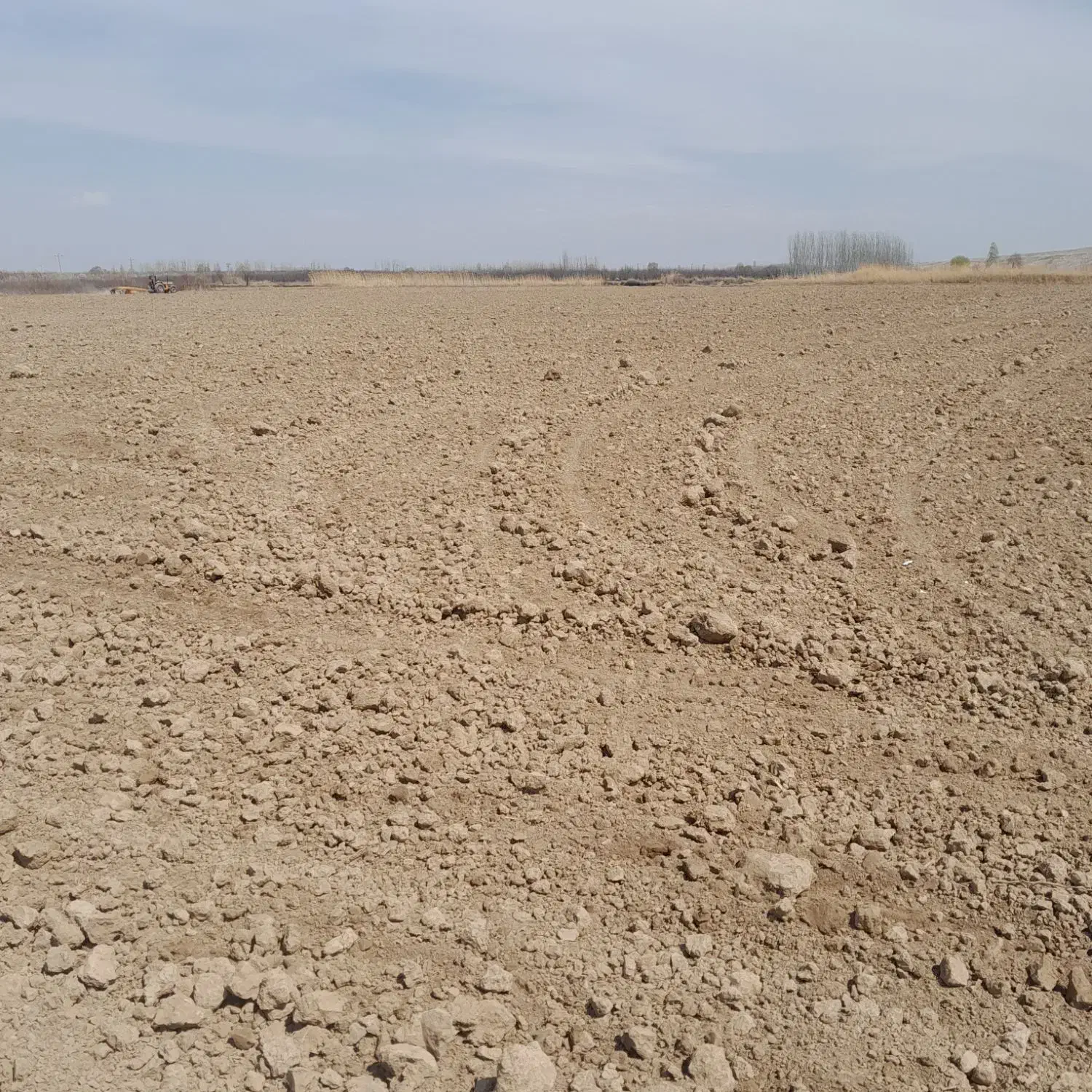 اجاره 9 هکتار زمین کشاورزی|اجارهٔ دفتر صنعتی، کشاورزی، تجاری|میاندوآب, |دیوار