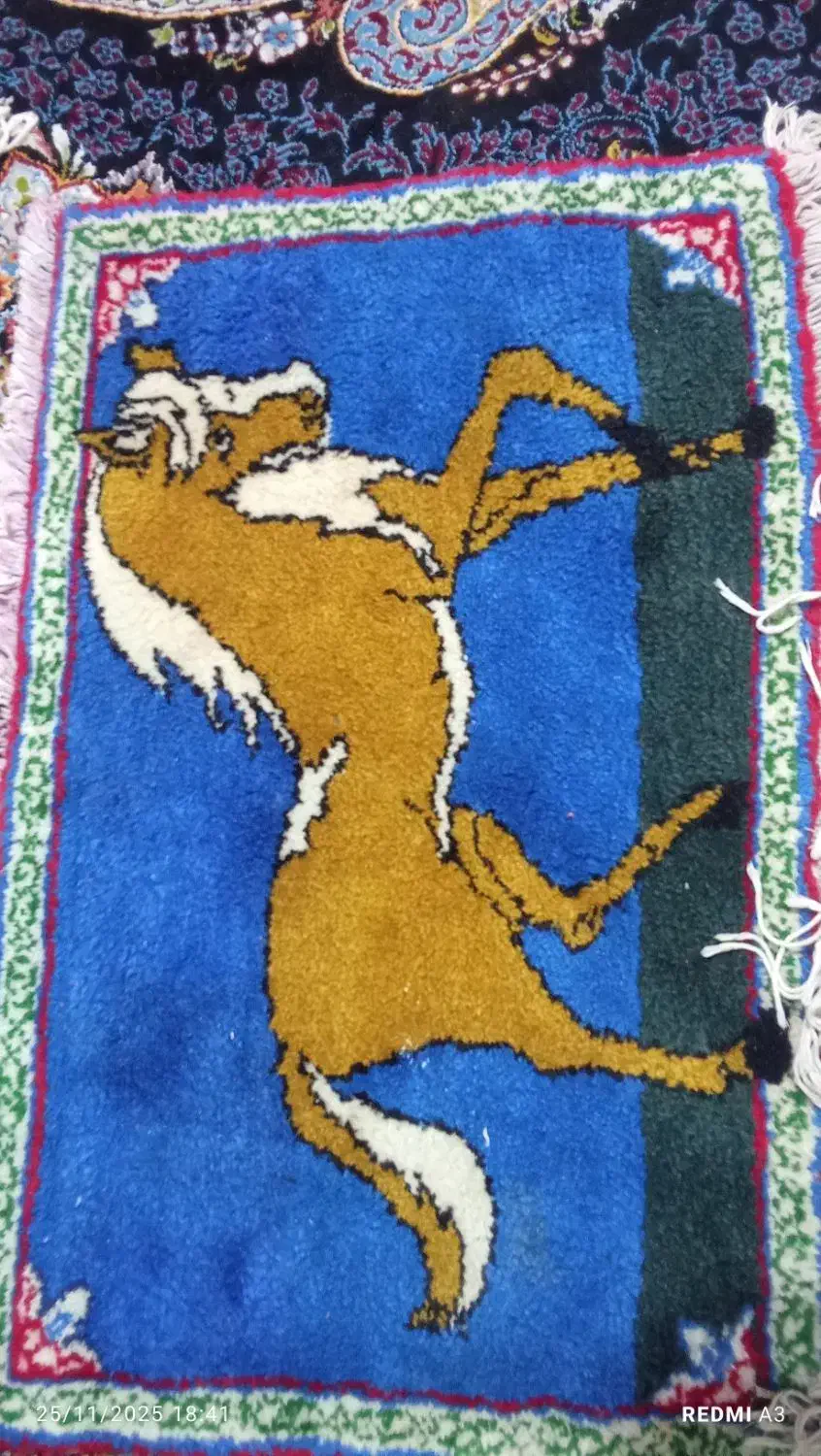 قالیجه دست بافت|فرش|ایلخچی, |دیوار