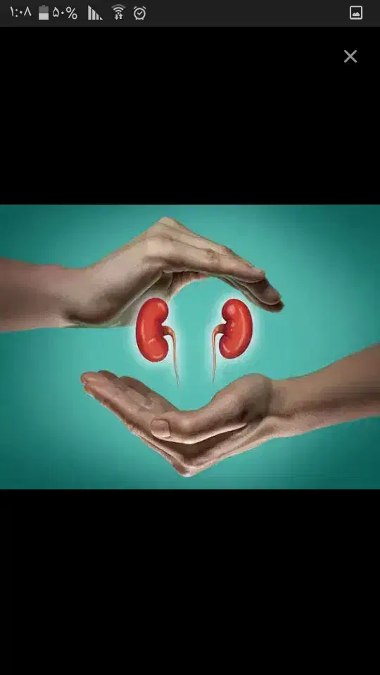 زندگی|فعالیت داوطلبانه تحقیقاتی|نسیم‌شهر, |دیوار