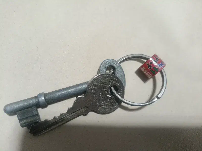 سرکلیدی تبلیغاتی پلاک کبوتر|لوازم جانبی حیوانات|تهران, شهرک غرب|دیوار