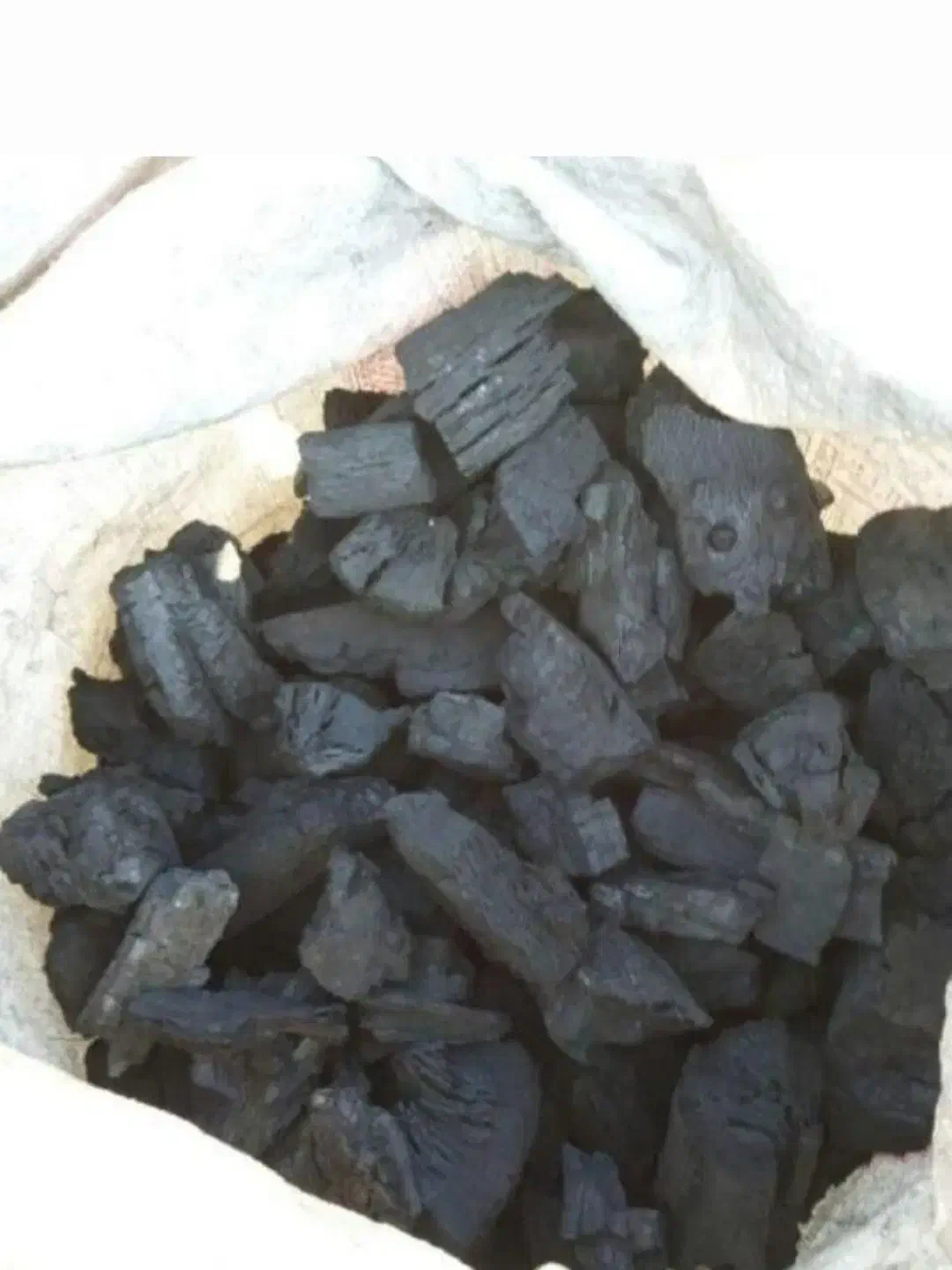 زغال مخصوص کباب کیسه 600|حراج|اندیمشک, |دیوار