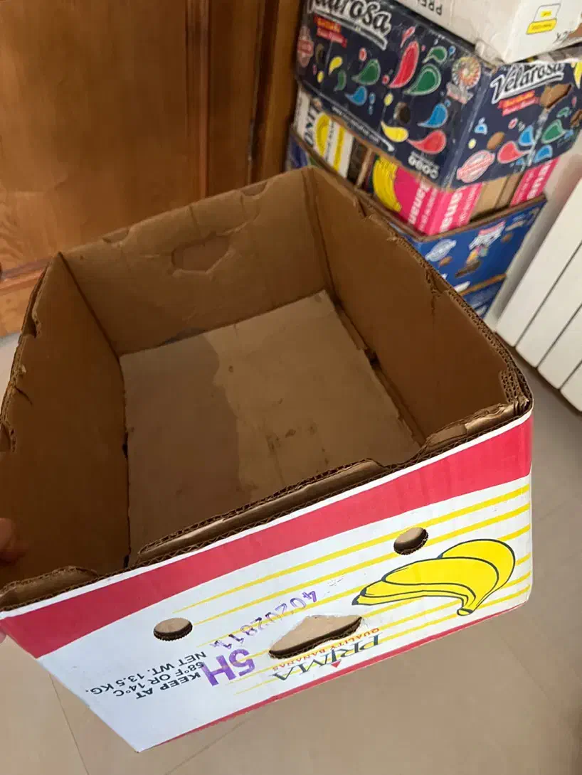 کارتن موزی اثاث کشی بسته بندی|عمده‌فروشی|مشهد, بهشت|دیوار