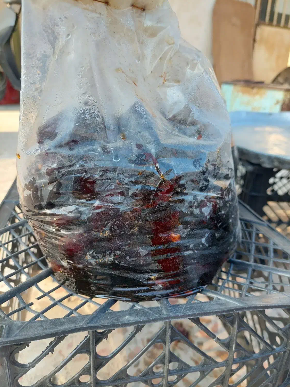 خرما نرم و شیره دار|خوردنی و آشامیدنی|خمیر, |دیوار