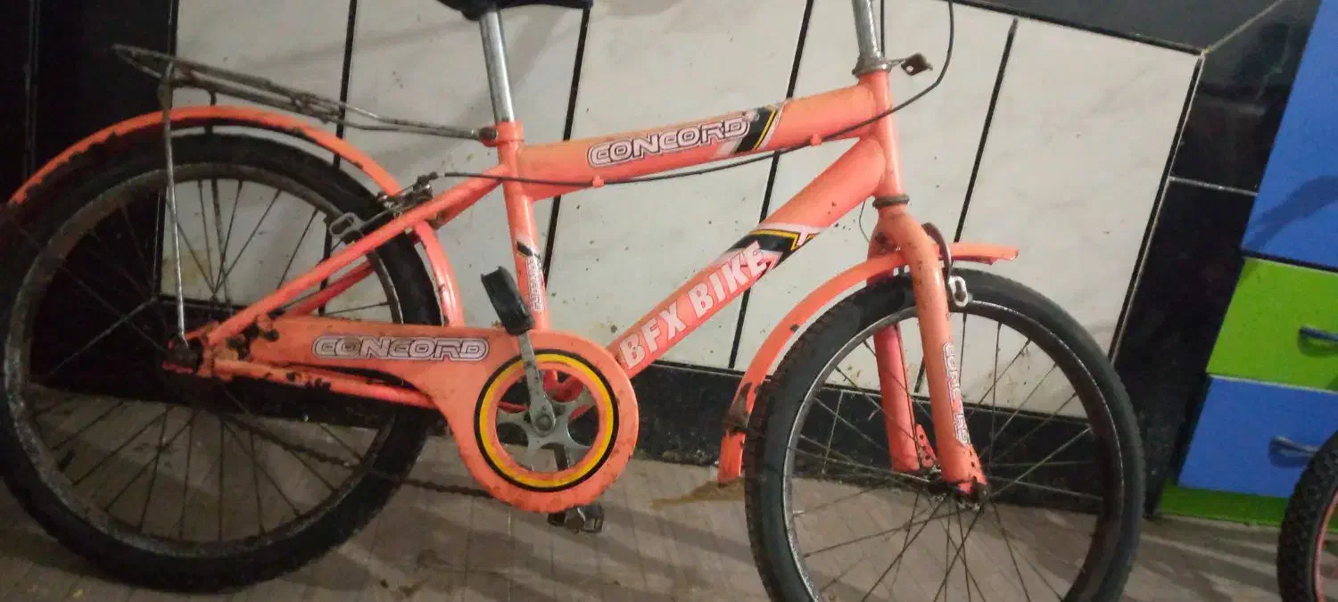 دوچرخه سایز ۲۰ دخترانه صورتی|دوچرخه، اسکیت، اسکوتر|گنبد کاووس, |دیوار