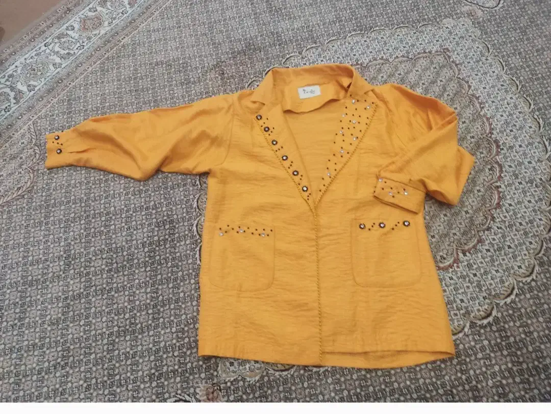 لباس مجلسی پالتو کیف مجلسی چرم اصل|کیف، کفش، کمربند|اردبیل, |دیوار