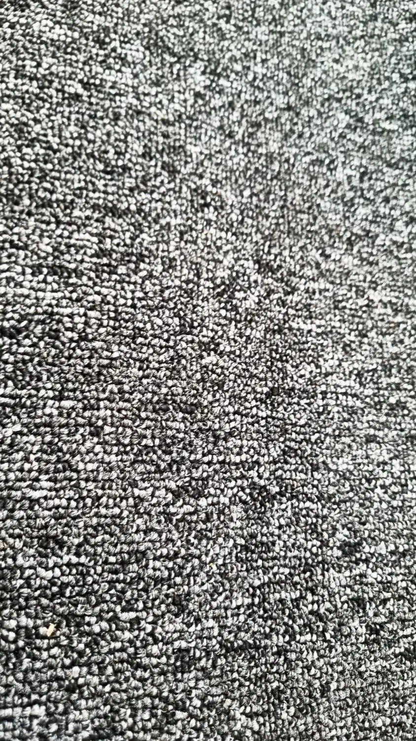 پالاز موکت نمایشگاهی|موکت|نسیمشهر, |دیوار