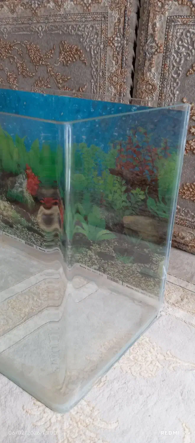 آکواریوم شیشه خم|ماهی|مریوان, |دیوار