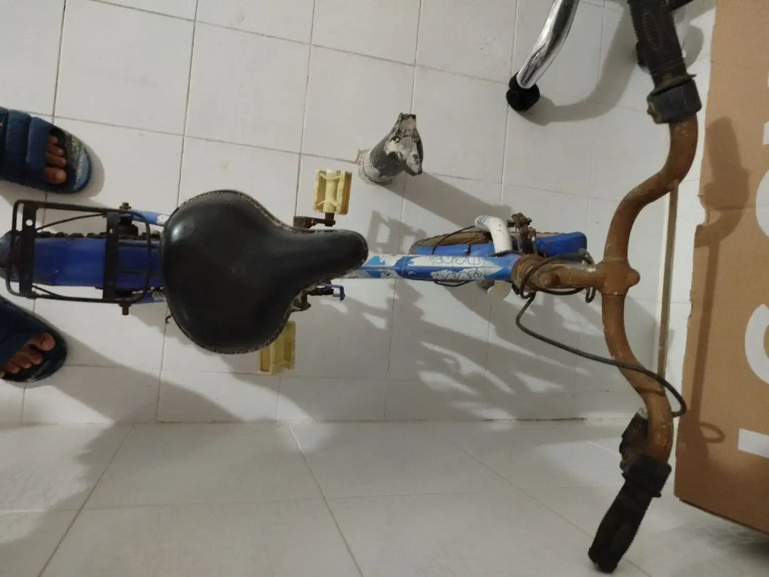 دوچرخه. 12|دوچرخه، اسکیت، اسکوتر|لار, |دیوار