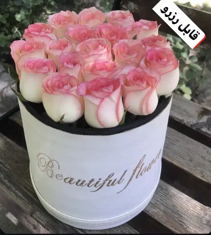 گل طبیعی رز هلندی باکسی فقط شاخه ای ۲۲ تومن|گل و گیاه طبیعی|مشهد, آزادشهر|دیوار