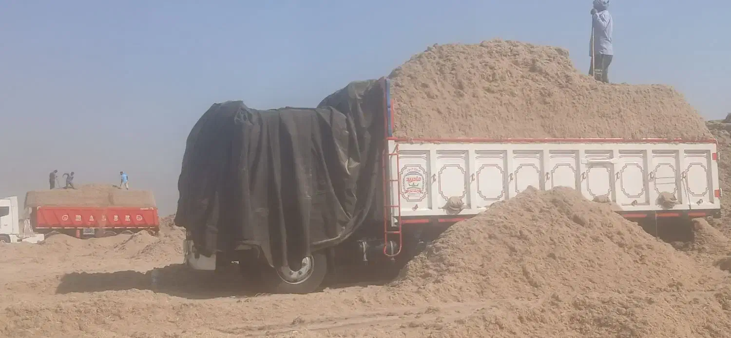 کاه نیشکر|لوازم جانبی حیوانات|بوئین زهرا, |دیوار