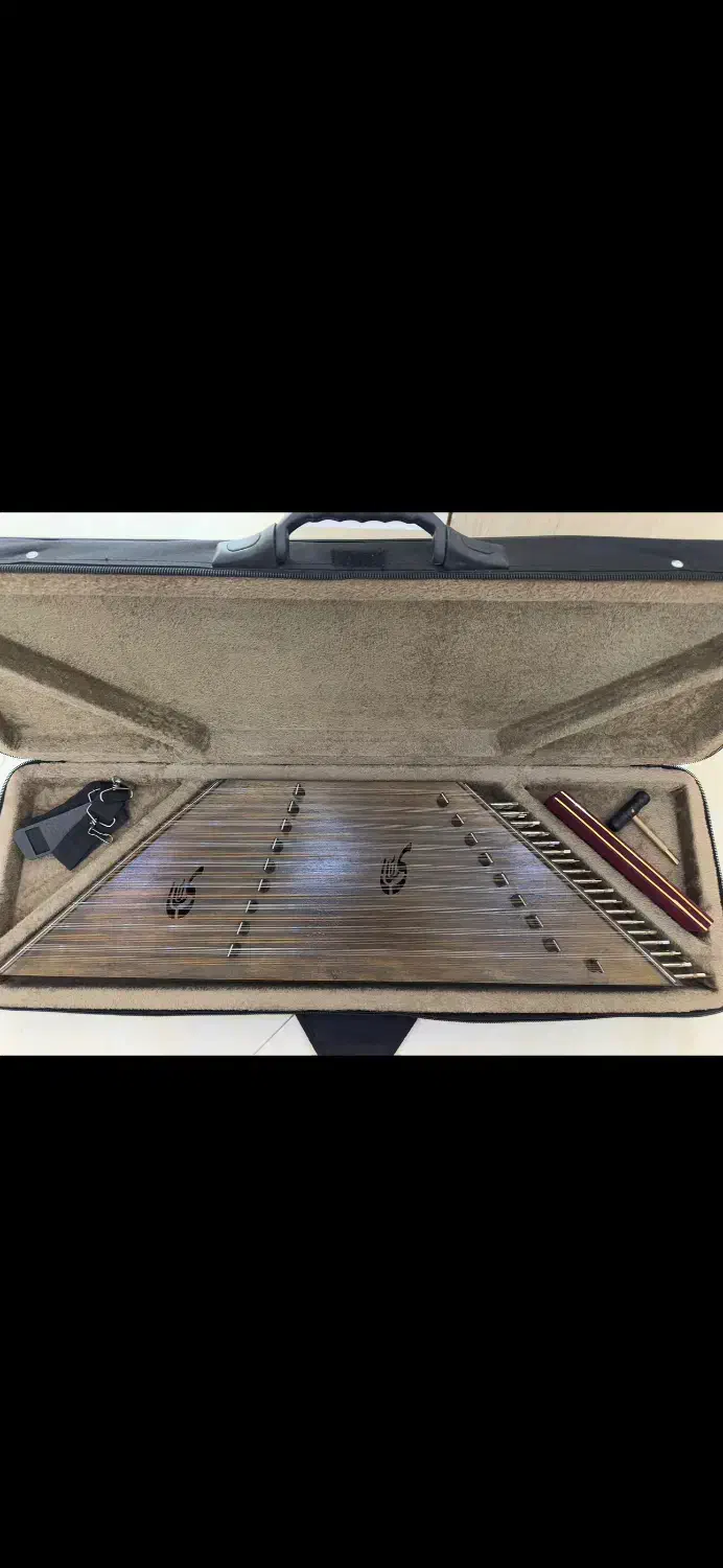 سنتور سالاری|سازهای سنتی|تهران, مخصوص|دیوار