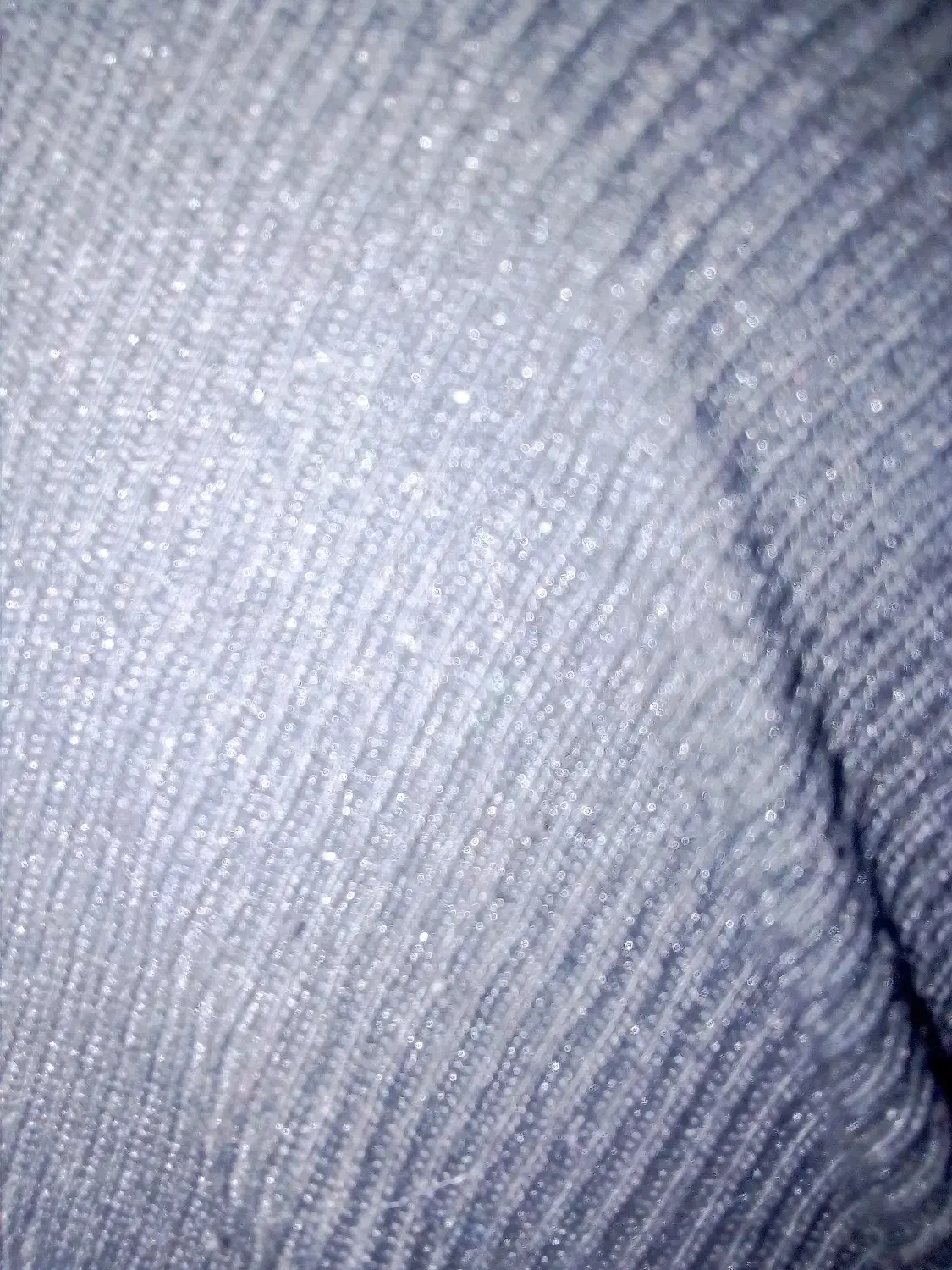 سهره|پرنده|کوهدشت, |دیوار