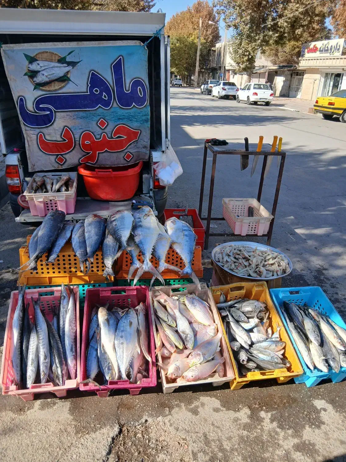 انواع ماهی جنوب در خدمت هم استانی های عزیز|ماهی|دورود, |دیوار