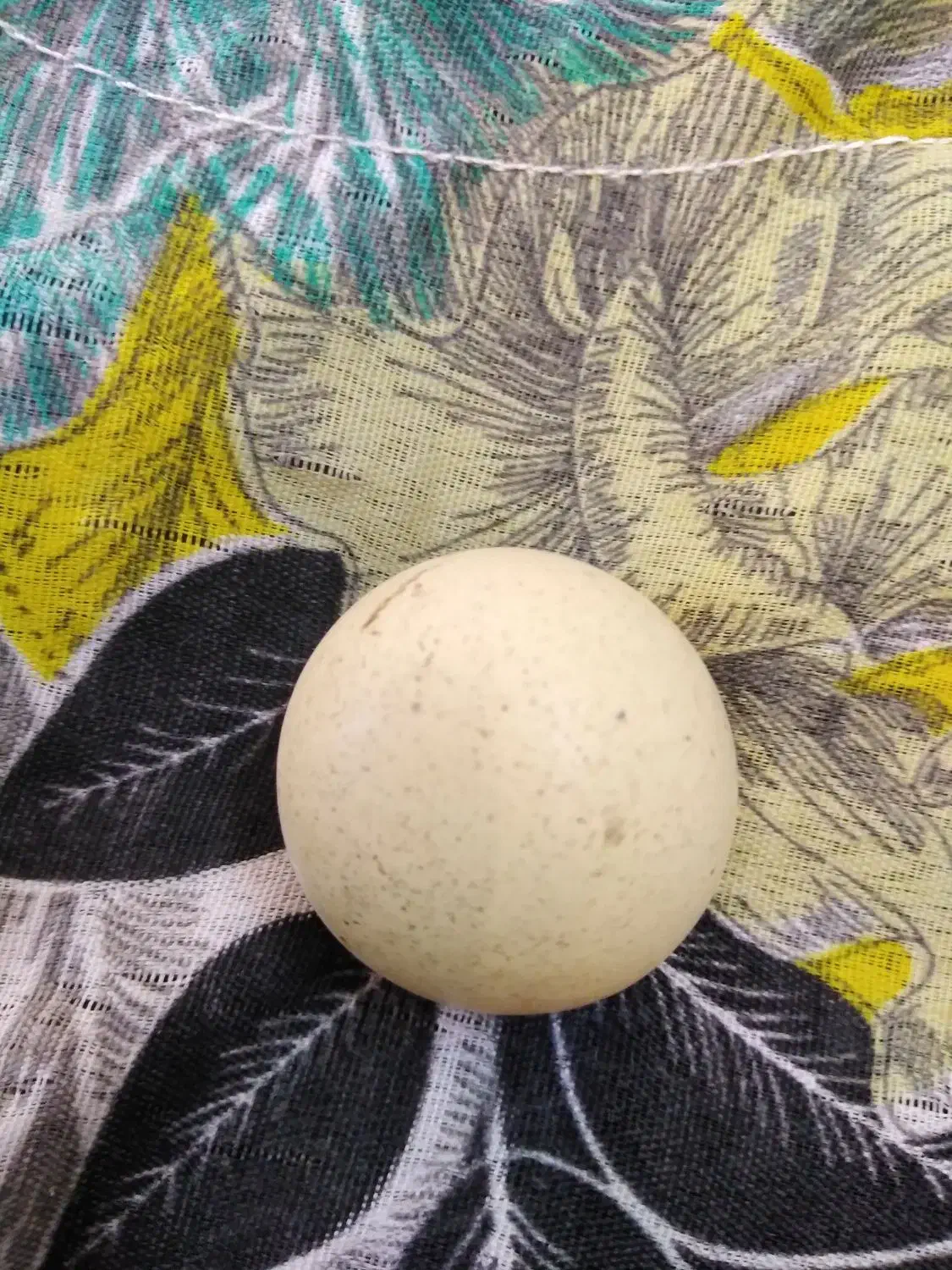 سنگ آسیاب بزرگ قیمت 10000000|کلکسیون اشیاء عتیقه|نیشابور, میدان حافظ|دیوار