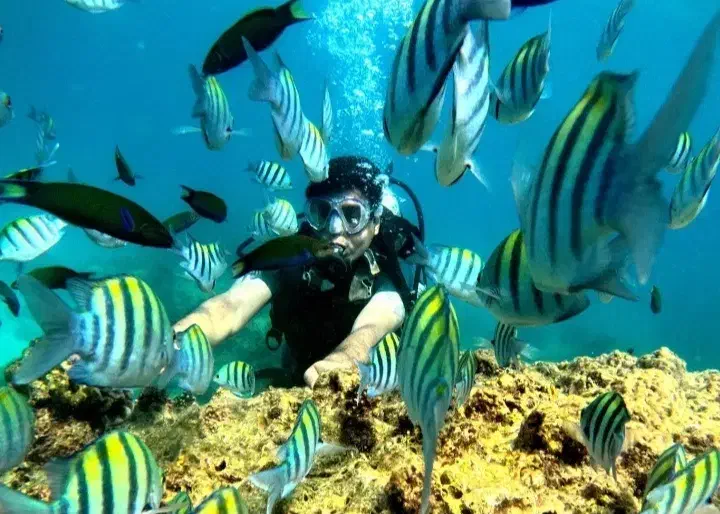 تفریحات آبی شاتل پاراسل غواصی کشتی کنسرت جنگ|تور و چارتر|کیش, |دیوار