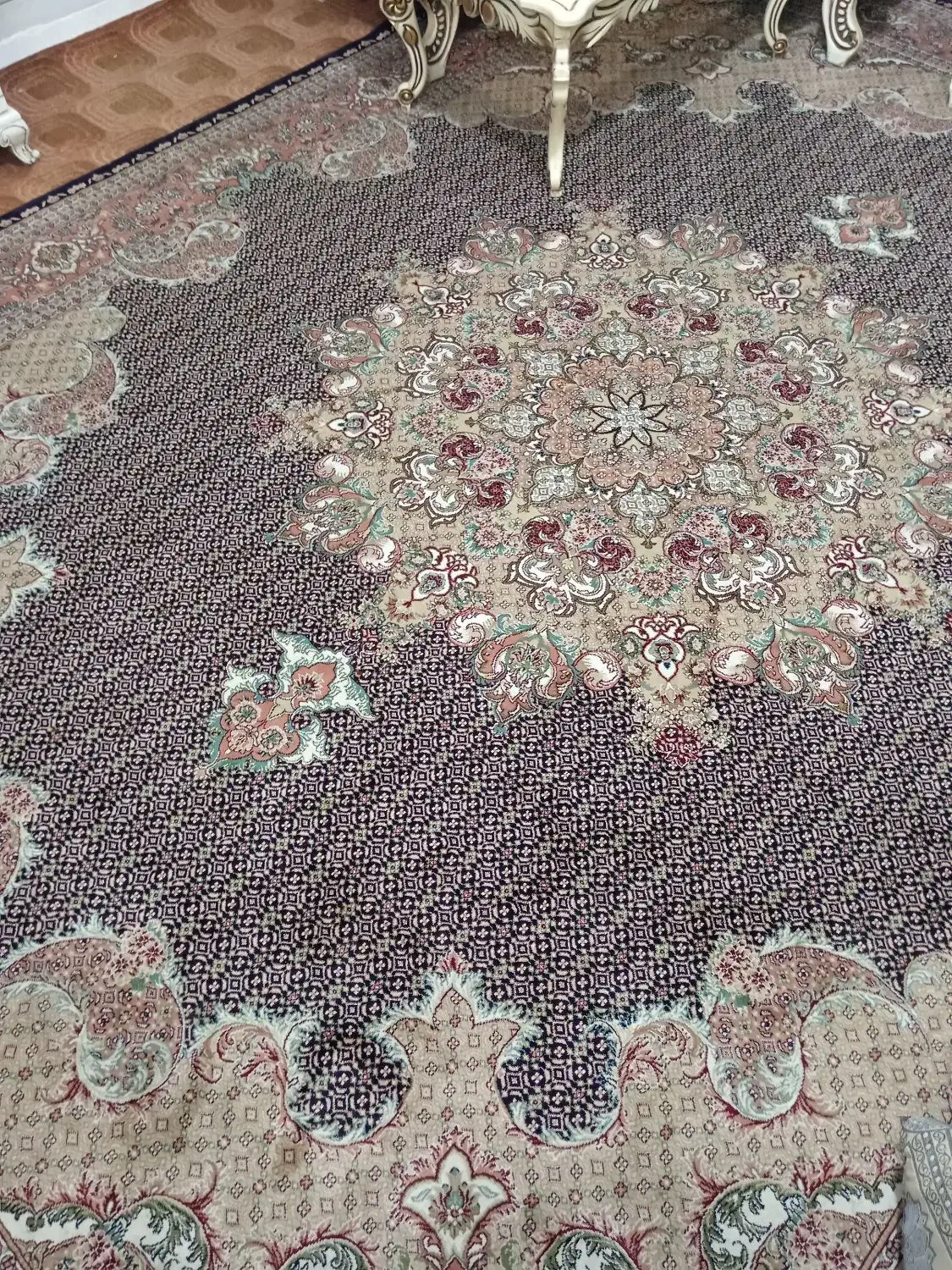 فرش|فرش|مشهد, طبرسی شمالی|دیوار